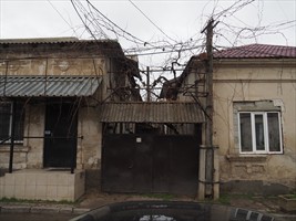 Ob das wohl schön blüht wenn die Zeit dafür ist?