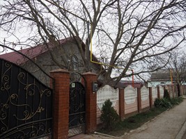 Solche Überlandleitungen ...