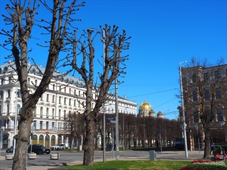 Von der russisch orthodoxen Kirche hat meine Mutter erzählt. Da sei Sie immer hingegangen weil alles so schön "golden" war.